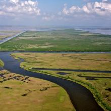 Photo courtesy Gulf Restoration Network.