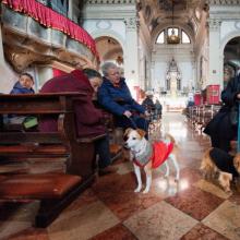 Owners with their dogs attend a blessing of pets and animals.(Photo by Marco Sec