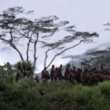 Screenshot from 'The Salt of the Earth' trailer. 