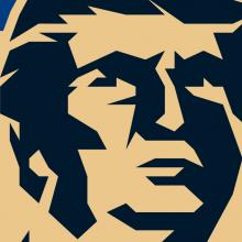Donald Trump illustration