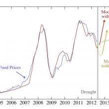 See the chart at http://necsi.edu/research/social/foodprices/updatejuly2012/