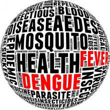 Dengue fever info-text. Via mrfiza / Shutterstock