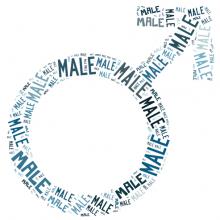 Male symbol word cloud, Faiz Zaki / Shutterstock.com