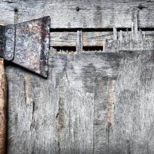 Axe image, Pikoso.kz / Shutterstock.com
