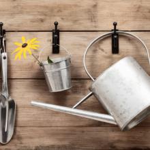 Garden tools, Christopher Elwell / Shutterstock.com