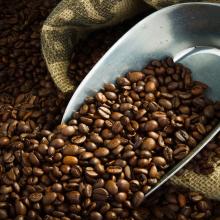 Coffee grounds. Image courtesy O.Bellini/shutterstock.com