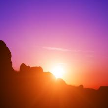 Tibor Balogh / Shutterstock
