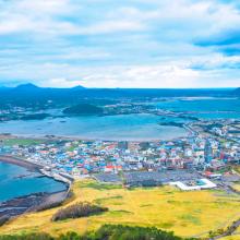 Hang Dinh/Shutterstock.com