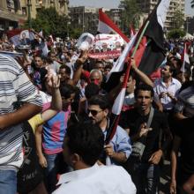 Egyptian protestors on June 30, Mohamed Elsayyed / Shutterstock.com