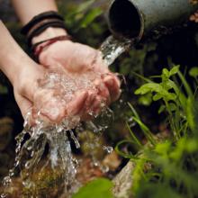 Wellspring, Oleh Slobodeniuk / Shutterstock.com