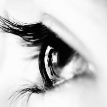 Naufal MQ / Shutterstock.com