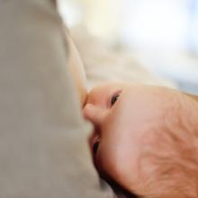 Photo via Elena Stepanova / Shutterstock / RNS