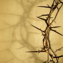 Crown of thorns. Image via Ricardo Reitmeyer/shutterstock.com