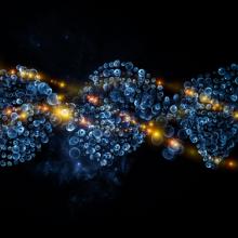 Virtual life concept, agsandrew / Shutterstock.com