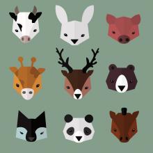  Zoo animals, Sviatlana St / Shutterstock.com