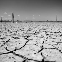 Cracked earth, Microstock Man / Shutterstock.com