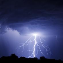 Kucher Serhii / Shutterstock.com