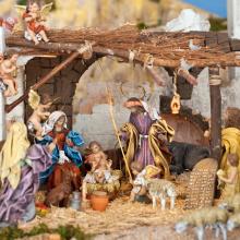 Ramon Grosso Dolarea / Shutterstock
