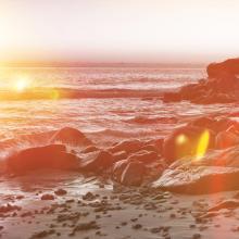  Daybreak. Image courtesy PlusONE/shutterstock.com