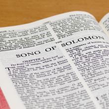 Song of Solomon photo, Joe Fallico / Shutterstock.com