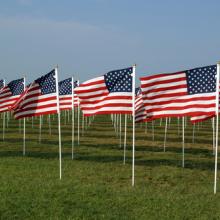 American flags commemorating 9/11, Vladimir Korostyshevskiy, Shutterstock.com
