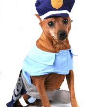 Look out. There's a new sheriff in town. Image via Katrina Brown / Shutterstock