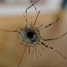 Photo: Kaygorodov Yuriy / Shutterstock.com