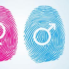 Gender symbols, SoulCurry / Shutterstock.com