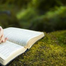 Photo: Woman reading Bible, © Jacob Gregory / Shutterstock.com