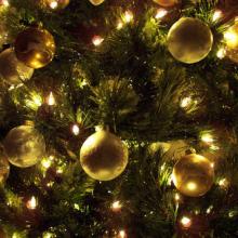 Photo: Christmas tree, © Jennifer Nickert / Shutterstock.com
