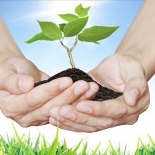 Creation care, violetkaipa / Shutterstock.com