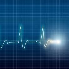 Electrocardiogram, Eskemar / Shutterstock.com