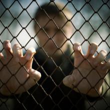Prison photo, luxorphoto / Shutterstock.com