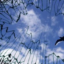 A dove flies above a cage of glass. Image courtesy Yu Lan/shutterstock.com.