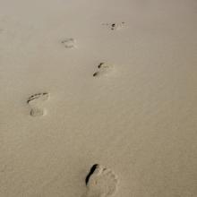 Footsteps in the sand, hpbdesign / Shutterstock.com