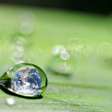 Sustainability image, danymages / Shutterstock.com