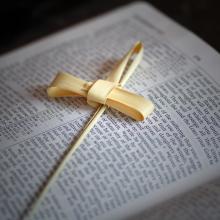 Palm Cross on Bible, Cheryl Casey/Shutterstock.com