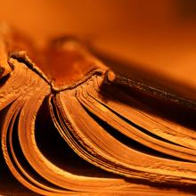 Old tattered Bible spine, Janaka Dharmasena / Shutterstock.com