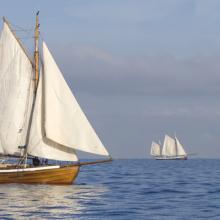 Three ships on a calm sea, © Nadezhda Bolotina / Shutterstock.com