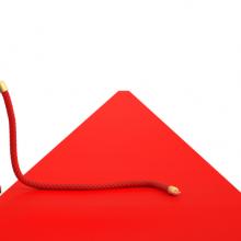 Red carpet image, disfera/ Shutterstock.com