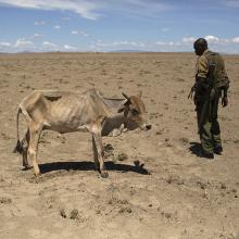 Photo via REUTERS / Siegfried Modola / RNS