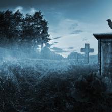 Jaroslaw Grudzinski / Shutterstock Jaroslaw Grudzinski / Shutterstock