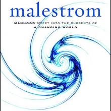 MalestromCover.jpg