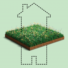 Illustration of the outlines of a house that go above and below a flowery field