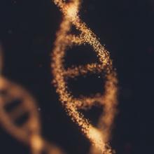 An abstract illustration of a DNA strand made of thousands of tiny particles of light. Another stand is slightly blurred in the background to the left against a black backdrop.