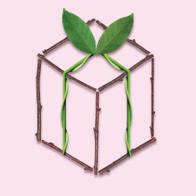 The outline of a gift box made from twigs, vines, and leaves