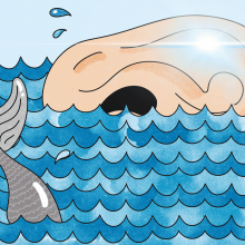 The illustration shows a whale tale sticking out of the ocean, and an ear, swimming as if it were a whale