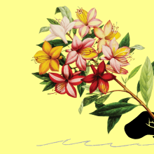 A hand is holding a pen made out of a bouquet of flowers.