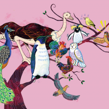 The illustration is of a variety of birds on a branch. There is a peacock, a penguin, an emu, a chicken and rooster, an owl, a hawk, a sparrow, and one of those penguins with fluffy yellow hair