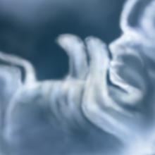 Alex Mit / Shutterstock